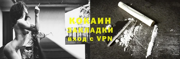 ПСИЛОЦИБИНОВЫЕ ГРИБЫ Богданович