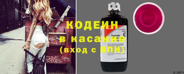 ПСИЛОЦИБИНОВЫЕ ГРИБЫ Богданович