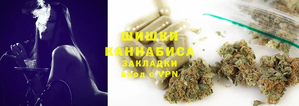apvp Богородицк