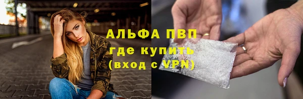ПСИЛОЦИБИНОВЫЕ ГРИБЫ Богданович
