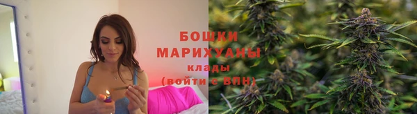 ПСИЛОЦИБИНОВЫЕ ГРИБЫ Богданович