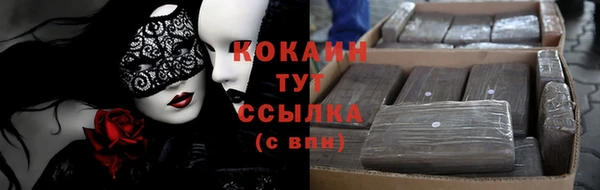 apvp Богородицк