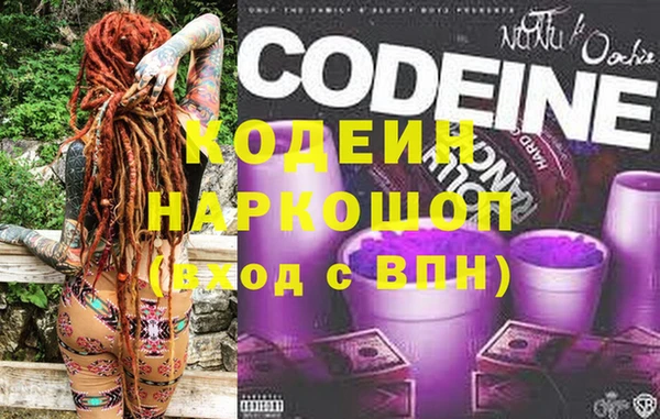 ПСИЛОЦИБИНОВЫЕ ГРИБЫ Богданович