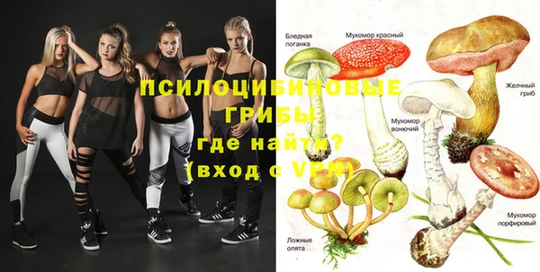 apvp Богородицк