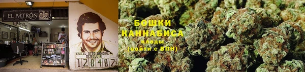 apvp Богородицк