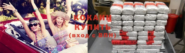 ПСИЛОЦИБИНОВЫЕ ГРИБЫ Богданович