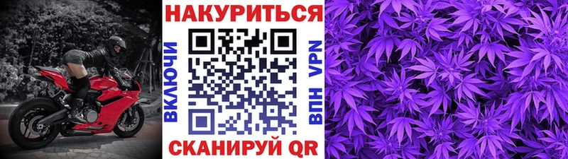 Купить закладки  Пролетарск  Канабис гибрид 
